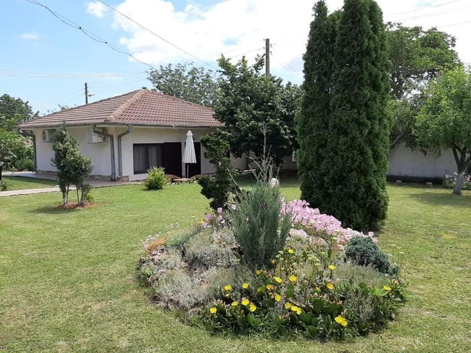 Guesthouse Oasis-Shabla Εξωτερικό φωτογραφία