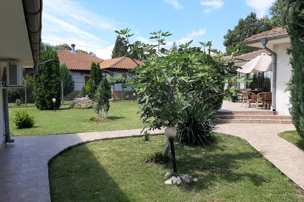 Guesthouse Oasis-Shabla Εξωτερικό φωτογραφία