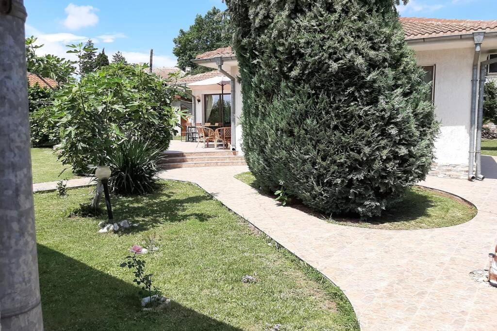 Guesthouse Oasis-Shabla Εξωτερικό φωτογραφία