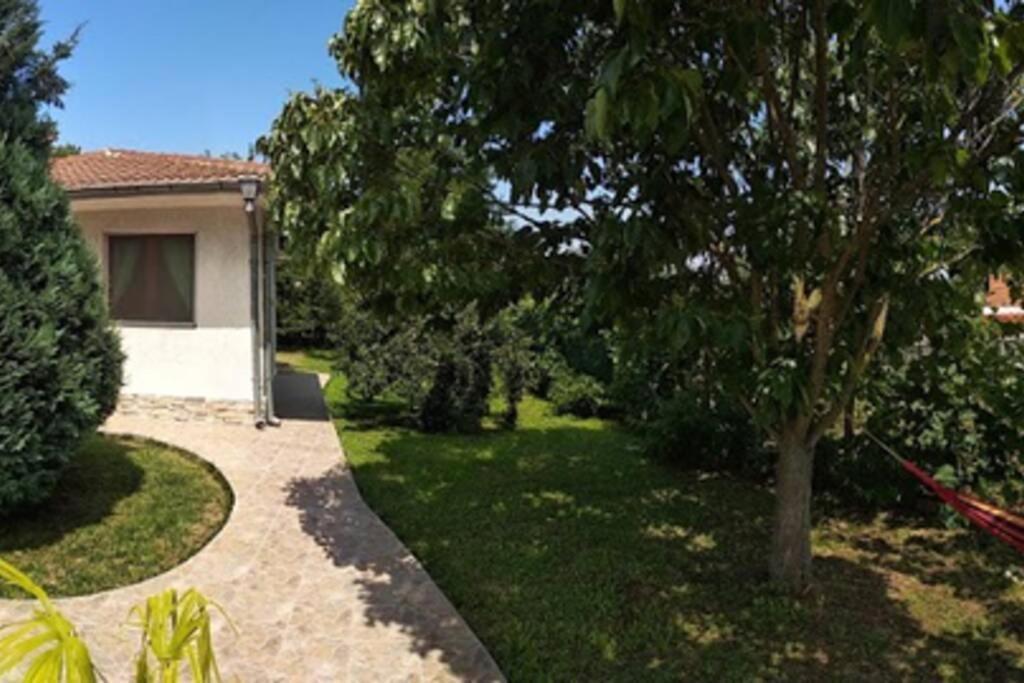 Guesthouse Oasis-Shabla Εξωτερικό φωτογραφία