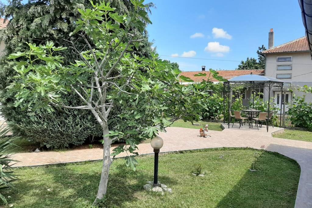 Guesthouse Oasis-Shabla Εξωτερικό φωτογραφία