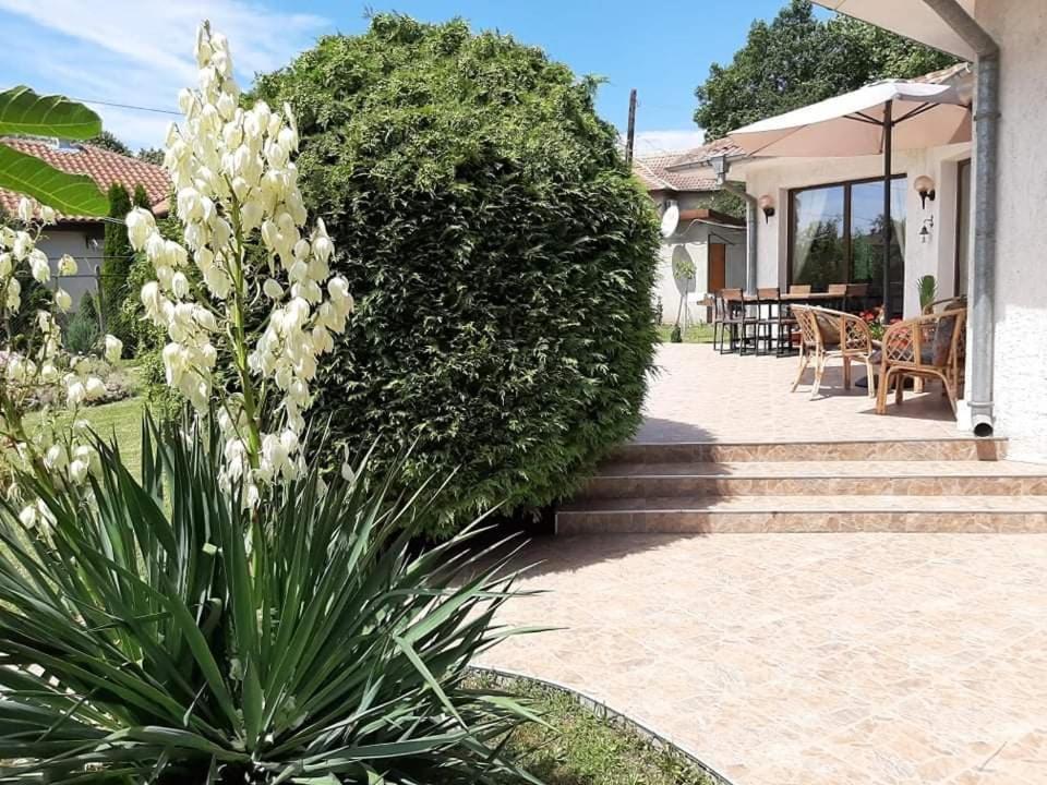 Guesthouse Oasis-Shabla Εξωτερικό φωτογραφία